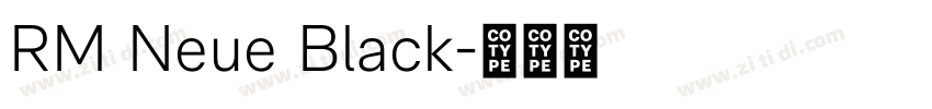 RM Neue Black字体转换